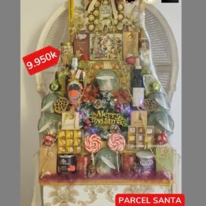 Parcel Santa Claus 219