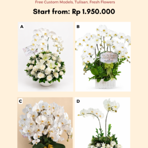 Anggrek