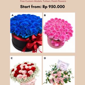 Bloom Box - 01